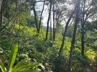 Grundstück zum Kauf in Thalang, Phuket
