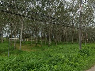 For sale land in Thalang, Phuket