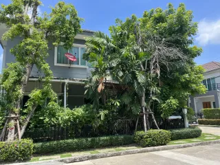 出售 3 卧室 独立屋 在 Saphan Sung, 曼谷