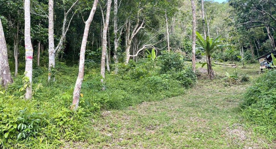 Grundstück zum Kauf in Kathu, Phuket