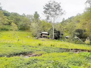For sale land in Kathu, Phuket