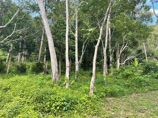 For sale land in Kathu, Phuket