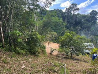 For sale land in Kathu, Phuket