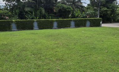 For sale land in Thalang, Phuket