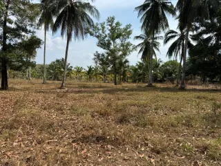 For sale land in Thai Mueang, Phang Nga