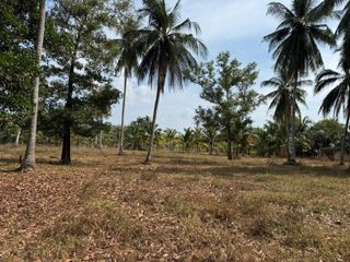For sale land in Thai Mueang, Phang Nga
