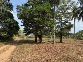 For sale land in Thai Mueang, Phang Nga