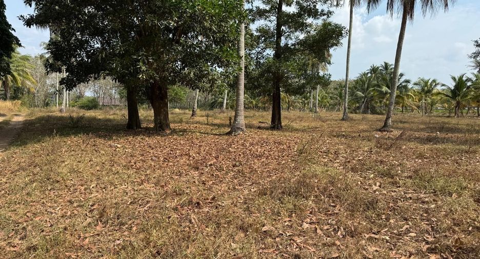For sale land in Thai Mueang, Phang Nga