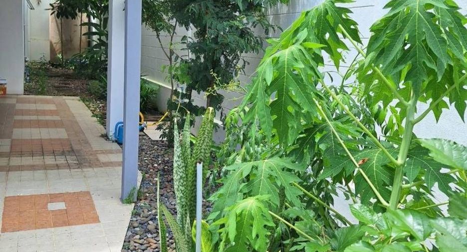 ให้เช่า 4 ห้องนอน บ้านเดี่ยว ใน ถลาง, ภูเก็ต