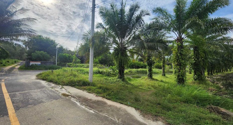 For sale land in Takua Thung, Phang Nga