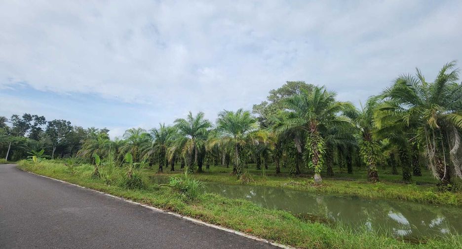For sale land in Takua Thung, Phang Nga