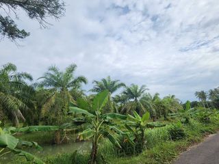 ขาย ที่ดิน ใน ตะกั่วทุ่ง, พังงา