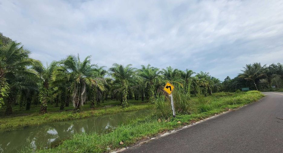 For sale land in Takua Thung, Phang Nga