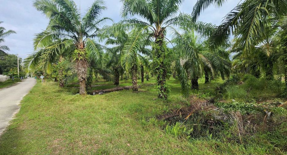 For sale land in Takua Thung, Phang Nga