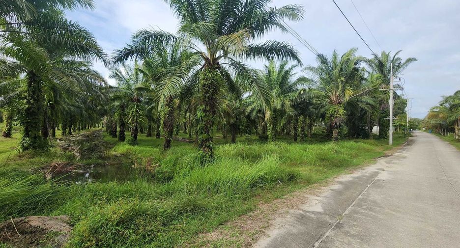 For sale land in Takua Thung, Phang Nga