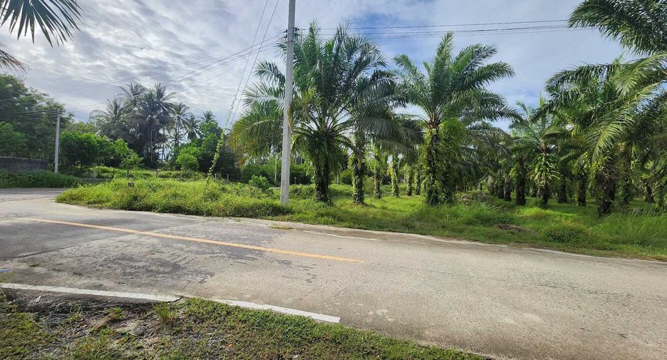 For sale land in Takua Thung, Phang Nga