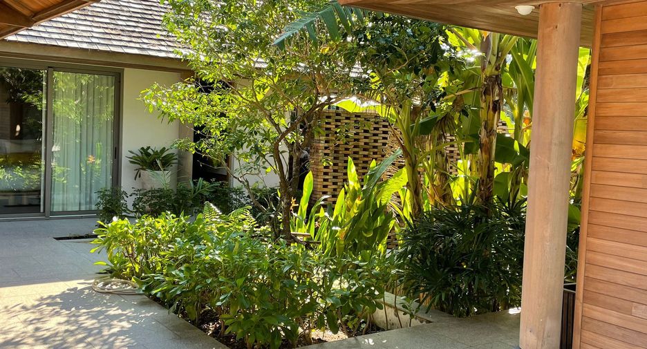 For sale 5 bedrooms villa in Takua Thung, Phang Nga