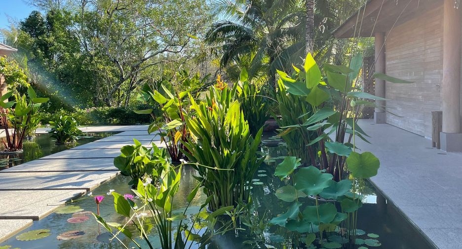 For sale 5 bedrooms villa in Takua Thung, Phang Nga
