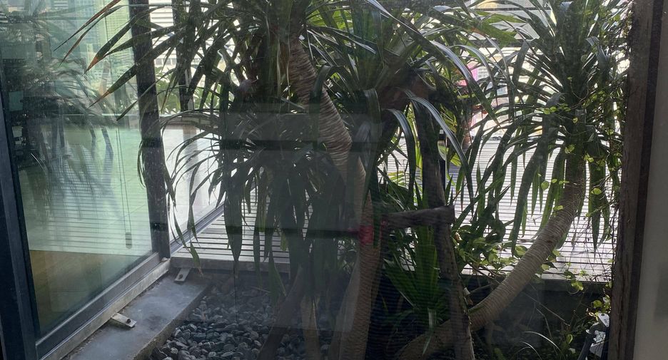 For rent 3 bedrooms condo in Sathon, Bangkok