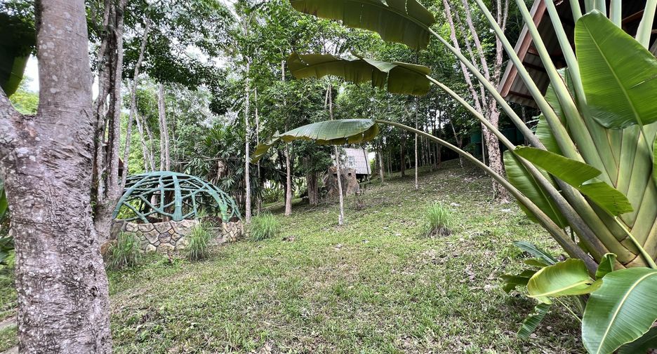 For sale land in Ko Yao, Phang Nga