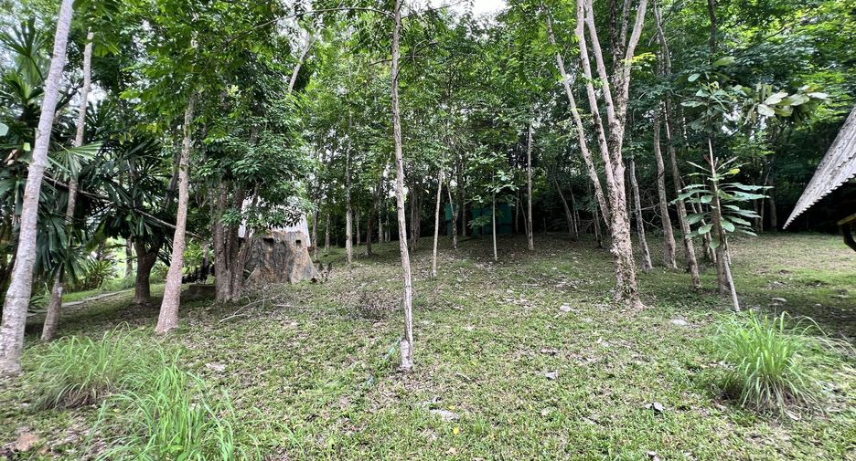 For sale land in Ko Yao, Phang Nga