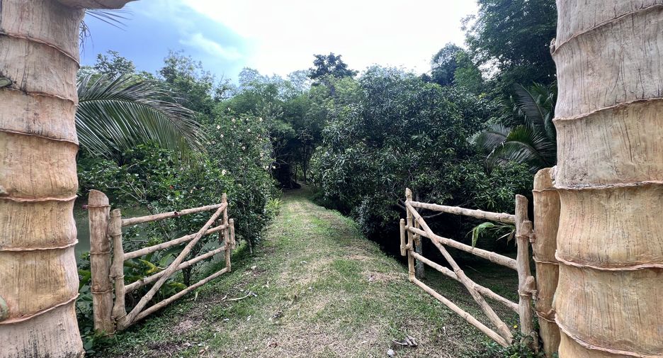 For sale land in Ko Yao, Phang Nga