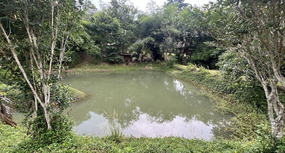 For sale land in Ko Yao, Phang Nga