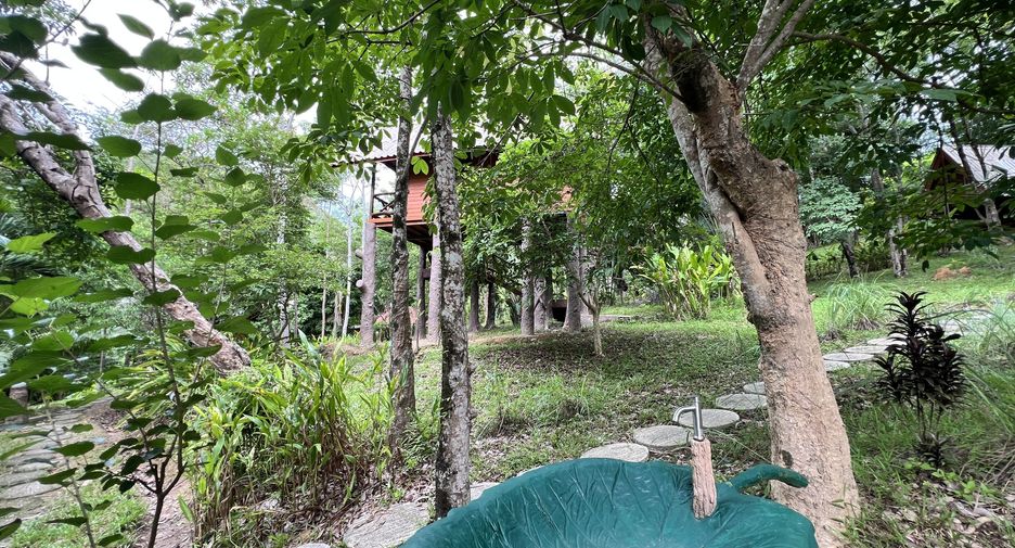 For sale land in Ko Yao, Phang Nga