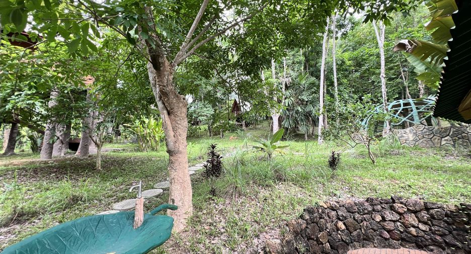 For sale land in Ko Yao, Phang Nga