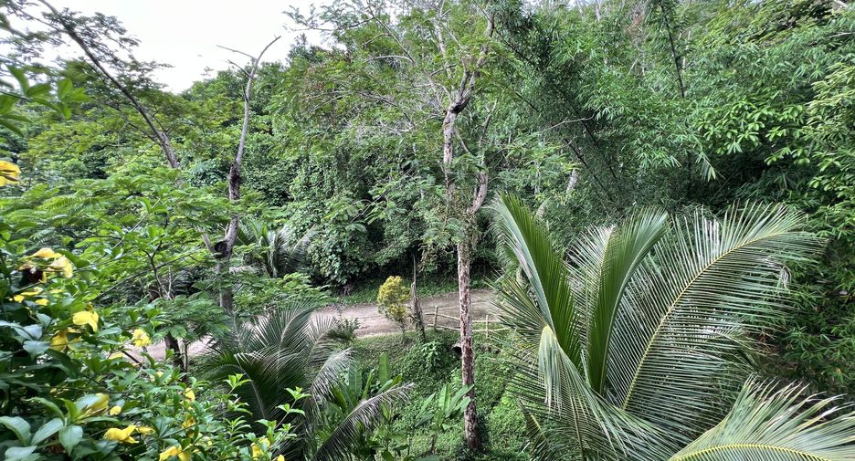 For sale land in Ko Yao, Phang Nga