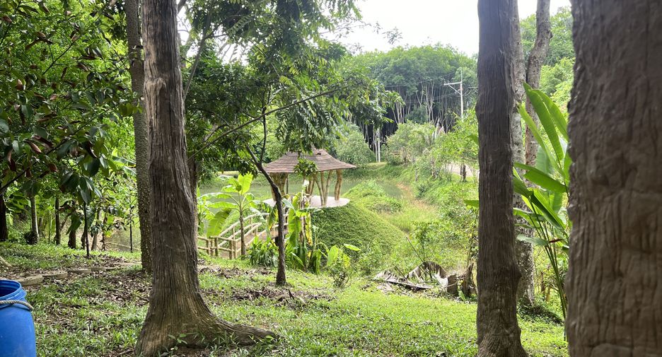 For sale land in Ko Yao, Phang Nga