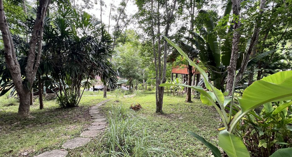 For sale land in Ko Yao, Phang Nga