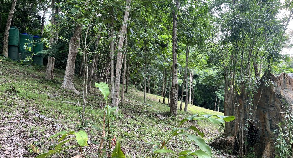 For sale land in Ko Yao, Phang Nga