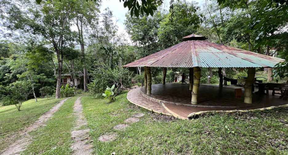 For sale land in Ko Yao, Phang Nga