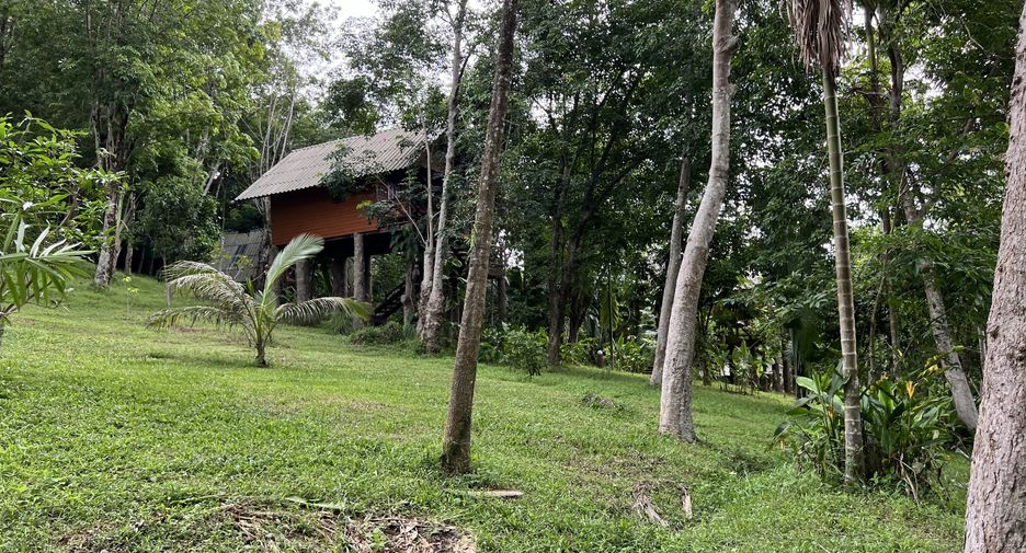 For sale land in Ko Yao, Phang Nga