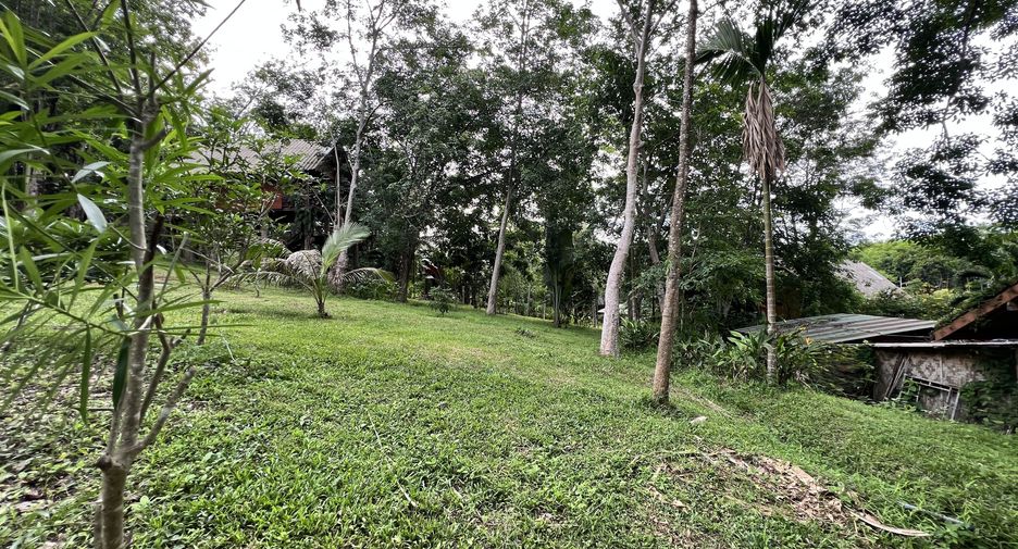 For sale land in Ko Yao, Phang Nga