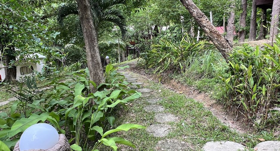 For sale land in Ko Yao, Phang Nga