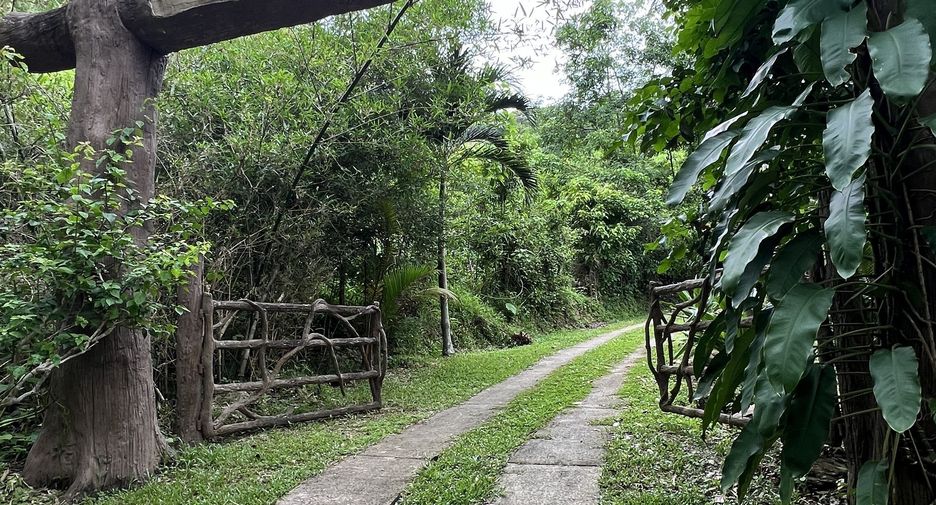 For sale land in Ko Yao, Phang Nga