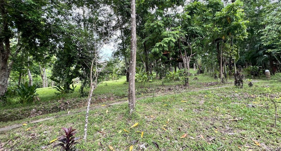 For sale land in Ko Yao, Phang Nga