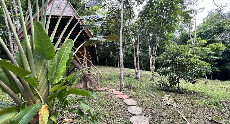 For sale land in Ko Yao, Phang Nga