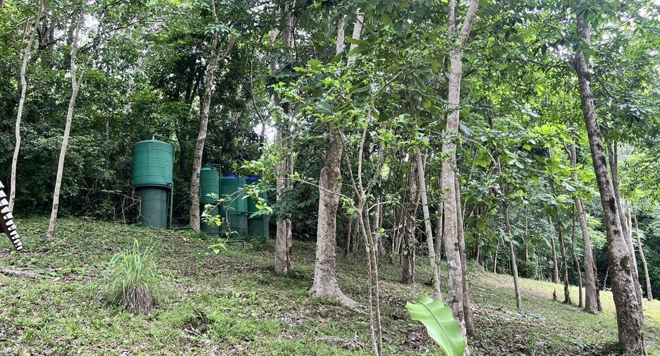 For sale land in Ko Yao, Phang Nga