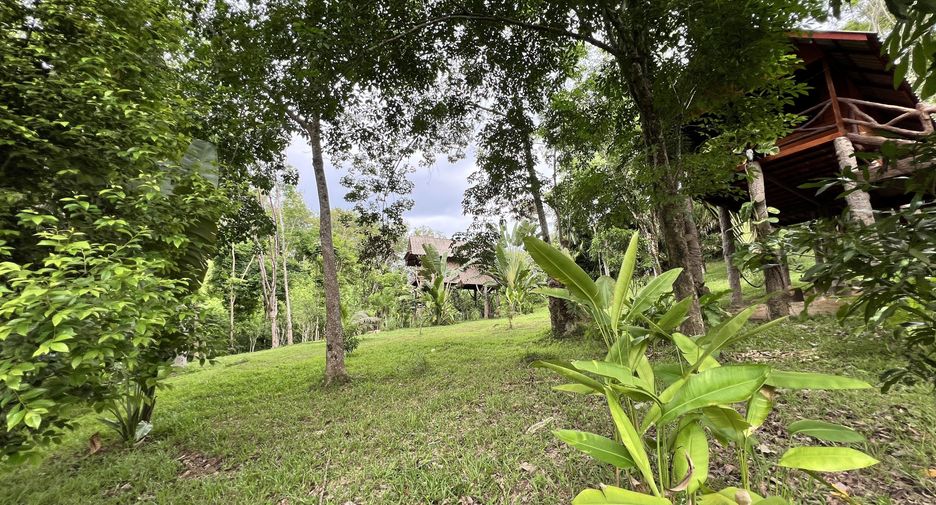 For sale land in Ko Yao, Phang Nga