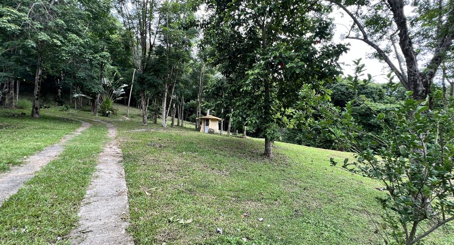 For sale land in Ko Yao, Phang Nga