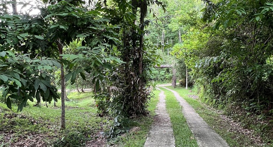 For sale land in Ko Yao, Phang Nga