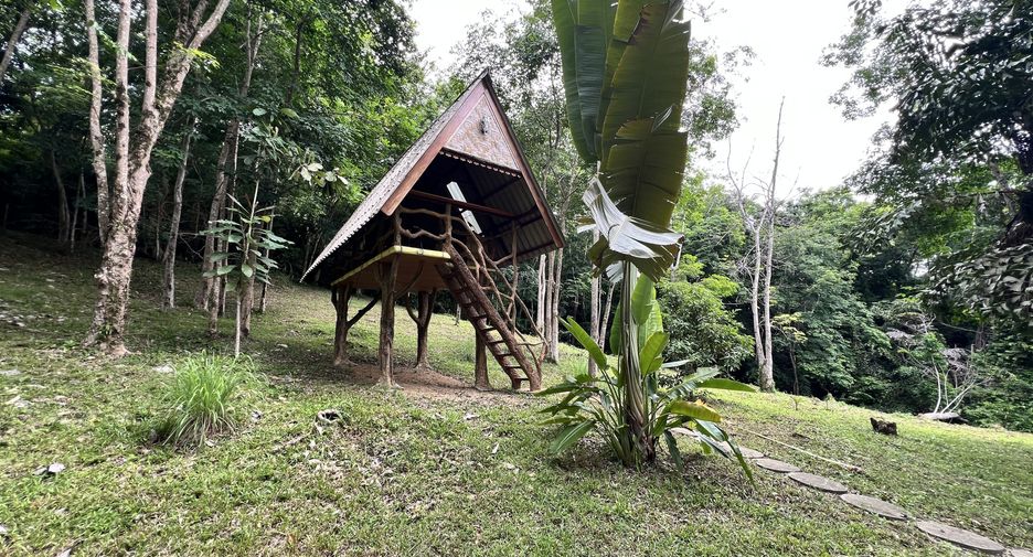 For sale land in Ko Yao, Phang Nga