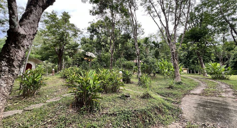 For sale land in Ko Yao, Phang Nga