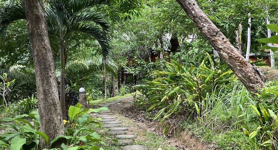 For sale land in Ko Yao, Phang Nga