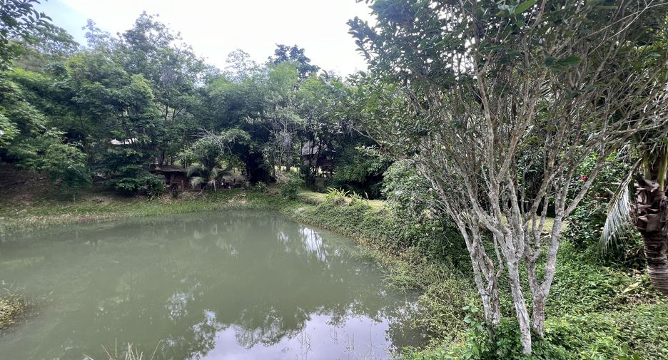 For sale land in Ko Yao, Phang Nga