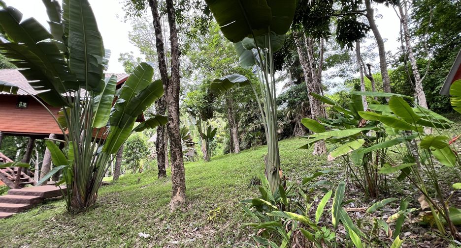 For sale land in Ko Yao, Phang Nga