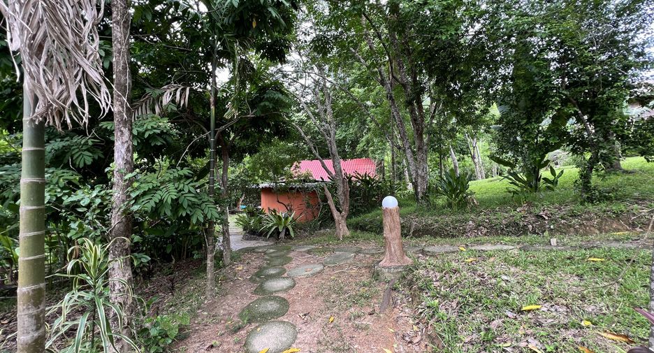 For sale land in Ko Yao, Phang Nga